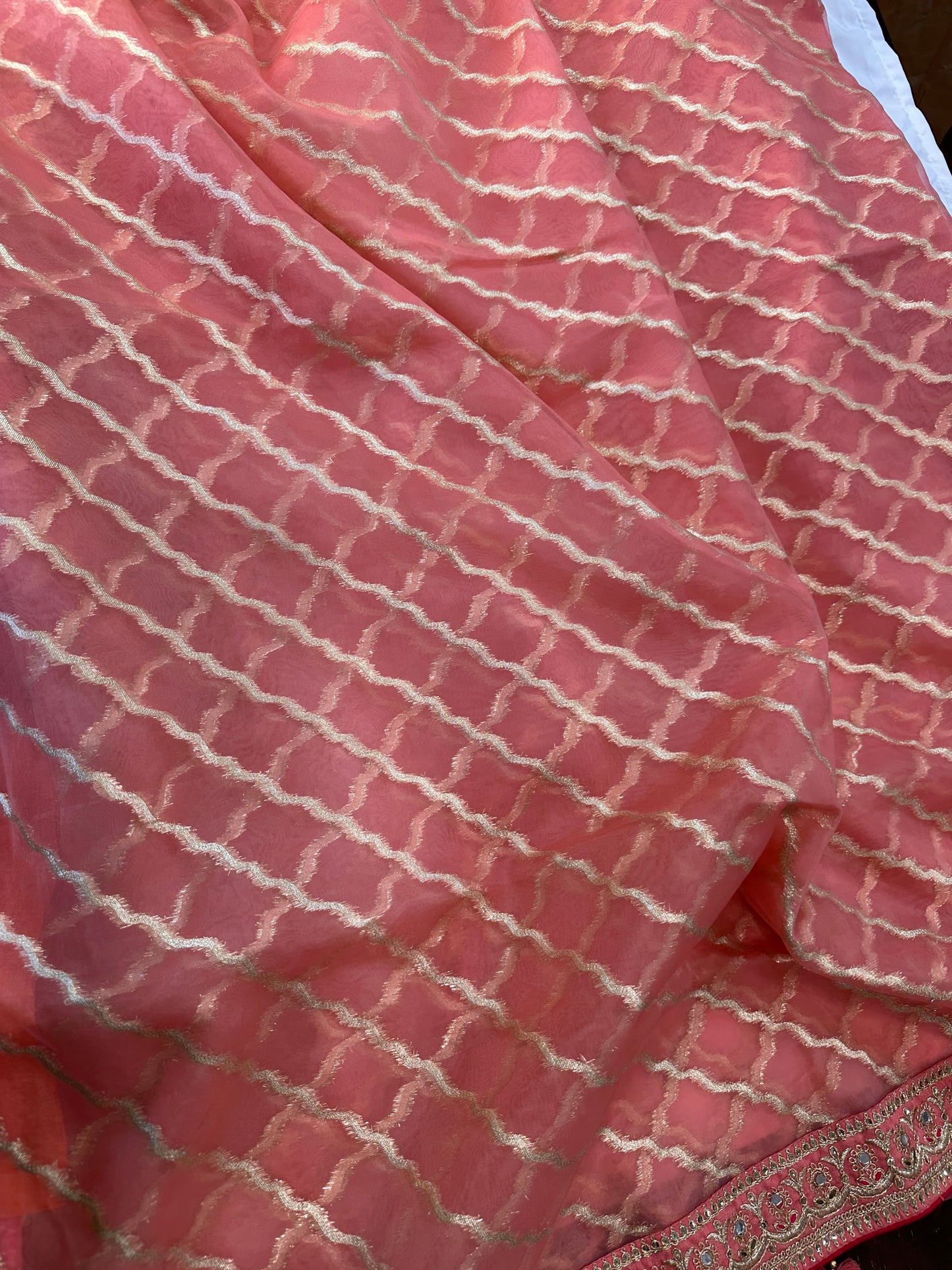 Tissue Organza Saree
