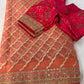 Tissue Organza Saree