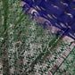 Blue Green Light Weight Kanchi Soft Silk  Saree